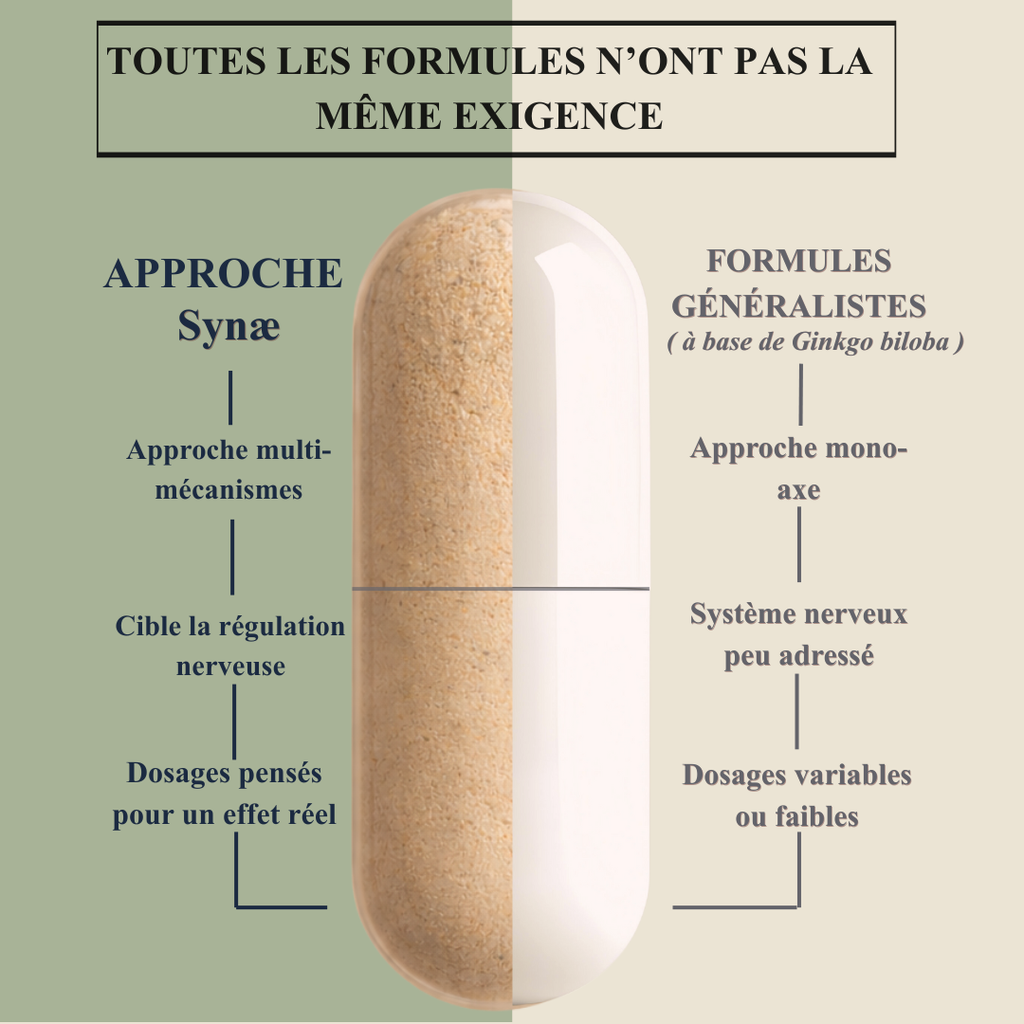 Calme Sonore™ – Synæ