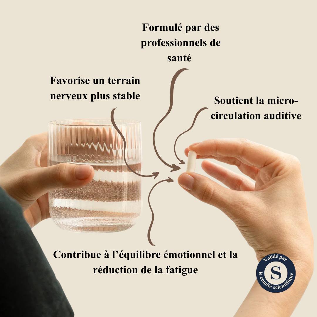 Calme Sonore™ – Synæ